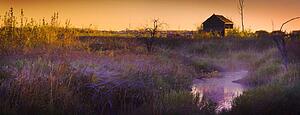 Abandoned shack at sunset near a creek