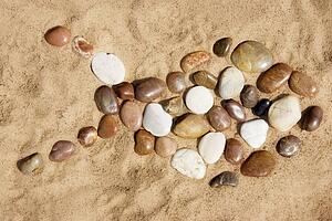 Rocks in the shape of a fish