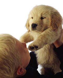 Boy holding puppy up