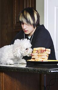 Teenager listening to music while his dog is on the counter eating sandwiches