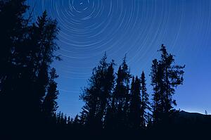 Twilight tree silhouettes and stars with time lapse photography, Jasper National Park, Alberta, Canada