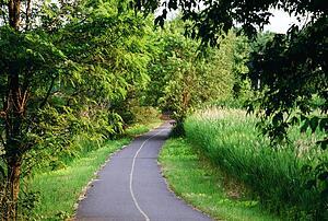 Pathway in a park