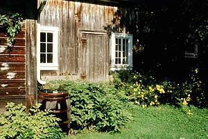 Wooden building and garden