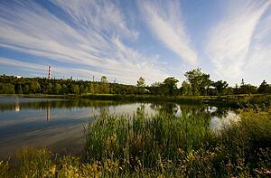 Marshland