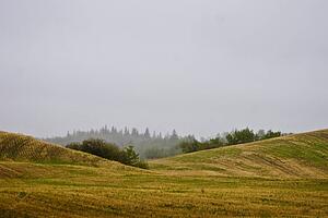 An empty rolling field