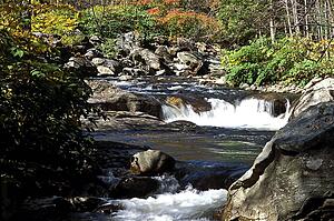 Scenery surrounding waterfall