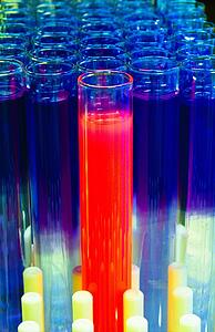 Test tubes in test tube rack 
