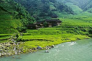 Rice fields, Longsheng, Guangxi province, China