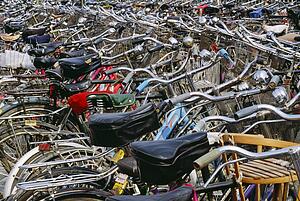 Bicycles parked in a row