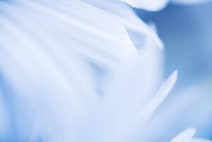 Blue and white background