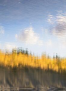 Reflection of fall foliage in water