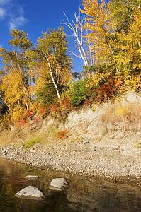 Fall Foliage on shoreline