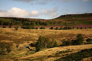 Landscape of rolling hills
