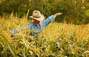 Man in field