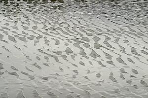 Ripples in water