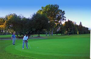 Two golfers on the green