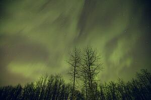 Northern lights Alberta Canada