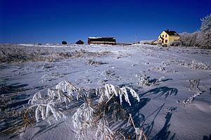 Farm homestead in winter