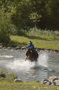 Cowboy rides horse