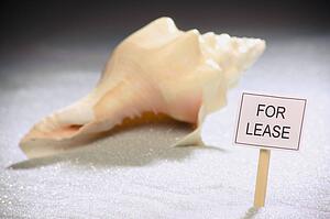 A seashell for lease