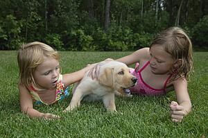 Two young girls with puppy