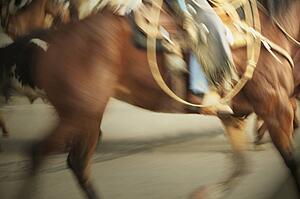 Cowboy on horseback