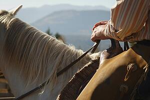 Horseback riding