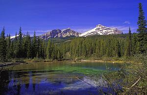 Mountain creek