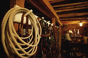 In a barn