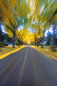 Speeding down a road in autumn