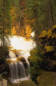 Time delay image of waterfall in forest