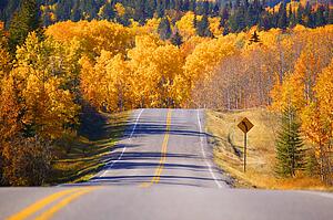 A scenic road