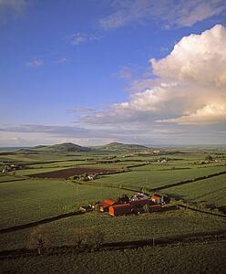 Aerial view of buildings on a landscape, County Laois, Ireland