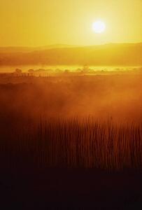 Sunrise, near Bunratty Castle, Co Clare, Ireland