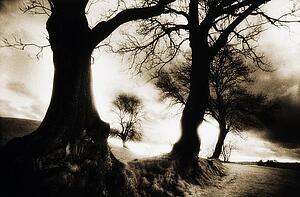 Navan Fort, County Armagh, Northern Ireland