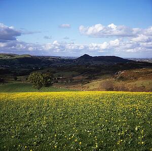 Co Armagh, Slieve Gullion, Ireland