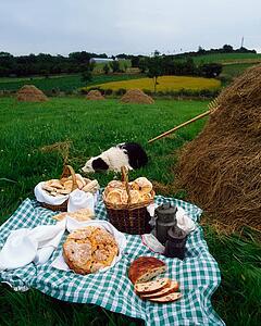Picnic
