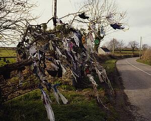 Prayer tree, Burnchurch, Co Kilkenny, Ireland