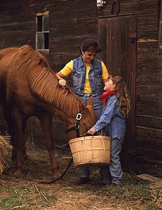 Feeding the horse