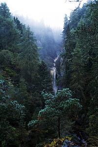 Forest and waterfall in Highlands, Scotland