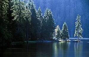 Mountain lake in Arbersee, Germany