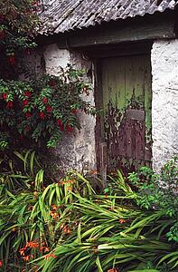 Old cottage door