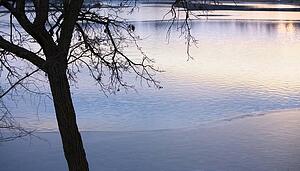 Tree silhouetted by an icy lake