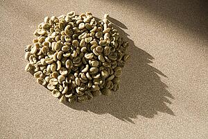 Pile of green, unroasted coffee beans