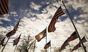 A group of American flags