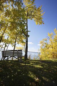 Park bench beside a lake in fall