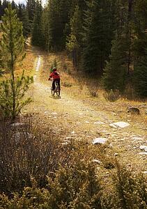 Teenager riding bike down path