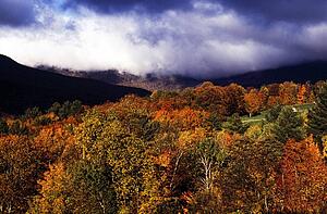 View of autumn colored trees in Stowe, Vermont, New England, USA