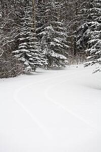 Fresh snowfall