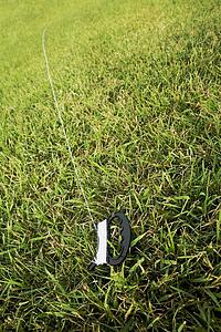 Kite string on the grass